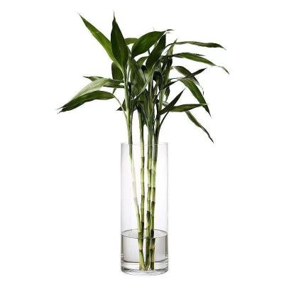 China Tall Cylinder Wedding Decoration Restaurant Table Minimalist Clear Glass Vases for sale