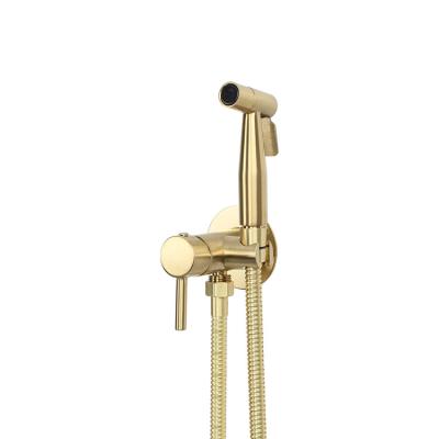 China Without Sliding Bar Newest Hot Selling Brushed Gold Portable Handheld Toilet Shattaf Suit for sale