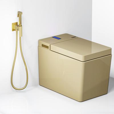 China Without Slide Bar Brushed Gold Color Portable Hygienic Bidet Shower Shattaf Set for sale