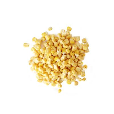 China Wholesale Price Dry Freeze Dried Benefits FD Vegetable Corn for sale