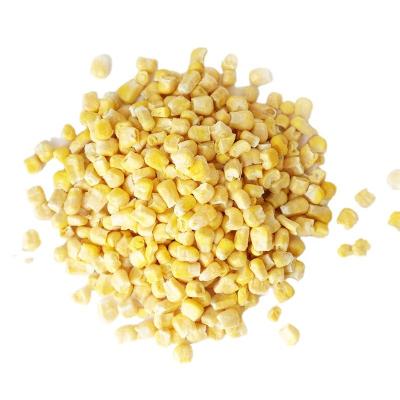 China FD Dry Corn Wholesale Price Freeze Dried Vegetable Benefits for sale