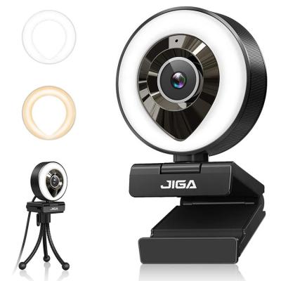 China Newest Hd Video Camera Success 1080P Usb Led Light Beauty Webcam With Ring Light Microphone for sale