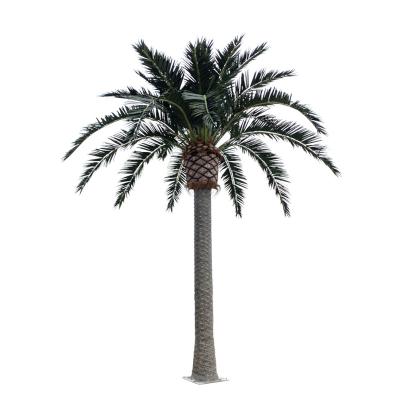 China 8M Giant Palm Algae Resistant Outdoor Wind Resistant Eco-Friendly Tall Tree UV Resistant Artificial Tree for sale