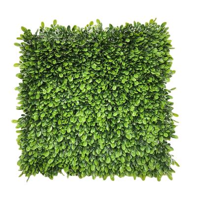 China Home Garden Ruyi Grass Landscape Wedding Decor Wall Grass Eco-friendly 50*50cm Artificial Leaf Grass for sale