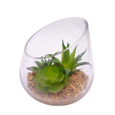 China Eco - Friendly Office Decor Artificial Plants Matched Mini Succulent Plants Decoration With Clear Glass Planter Pots for sale