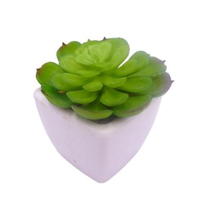 China Eco - Friendly Green Plants Desktop Decoration Mini Plants Assorted Artificial Succulents In Pots Mini Succulent for sale