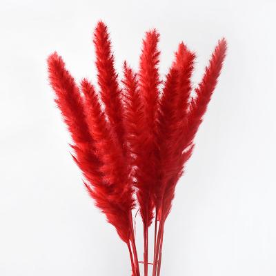 China Natural Touch Flower Arrangements Wedding Artificial Pampas Dried Flower Grass Pampas Home Decor Fake Pampas 60cm for sale