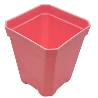 China Cheap Minimalist Mini Gardening Plastic Square Flower Bonsai Planter Pots for sale