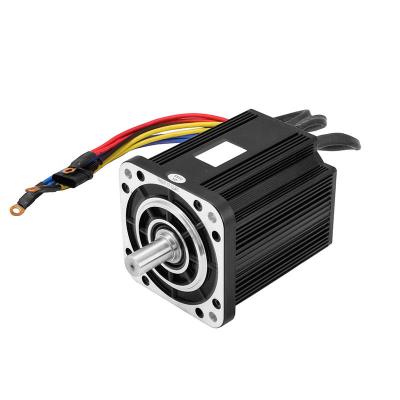 China Faradyi Customized High Quality Servo/Stepper motor FR42BLS Nema 17 Dc Stepper Motor Cnc Milling Lathe Machine for sale