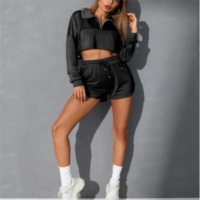 China OEM 2021 New Women Fashionable QUICK DRY Style Two Piece Pants Set Zipper Up Crop Tops Blank And Short Set Hoodie YND951167 for sale