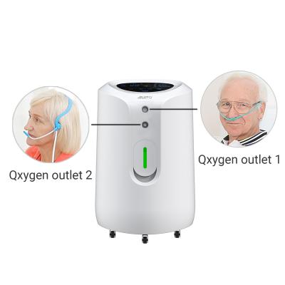 China Portable Comfortable Hot Selling Double Generator 10L 5 L Portable High Purity Oxgen Medical Grade Oxygen 10 Liter Oxygen Concentrator for sale