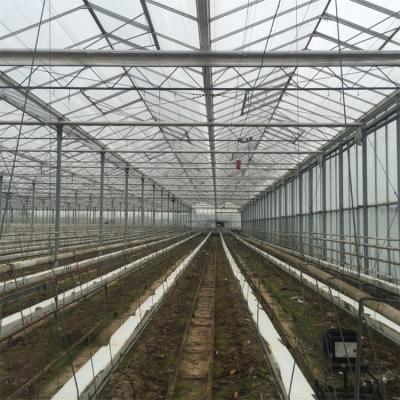 China 100/150/Stable easily structure cheap Assembled200 micron PE film galvanized venlo glass greenhouse insulated greenhouse price cheap for sale