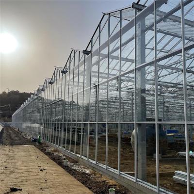 China 100/150/Stable Easily Structure Assembled200 Micron PE Film Large Scale Green Glass Venlo Type Tunnel Agriculture House for sale