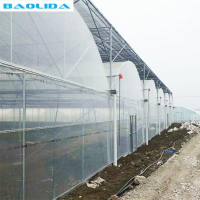 China Easily Assembled Galvanized Growing Transparent Hydroponic Multi Span Pipe Greenhouse Systems Invernadero PVC Plastic Sheet Greenhouses for sale