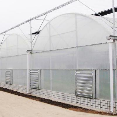 China Easily Assembled Hot Dip Galvanized Steel Vegetable Planting Other Greenhouses multi-span multispan film greenhouse for sale