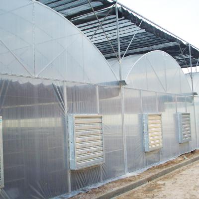 China Cheap Hydroponic Tunnel Tomato High Span Film Sawtooth Multi Span Greenhouse Easily Assembled UV Protected Multi Film Greenhouse for sale