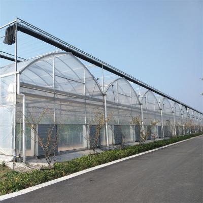 China High Tunnel Polyethylene Film Greenhouse Easily Assembled Multi Span Greenhouse For Vegetables for sale