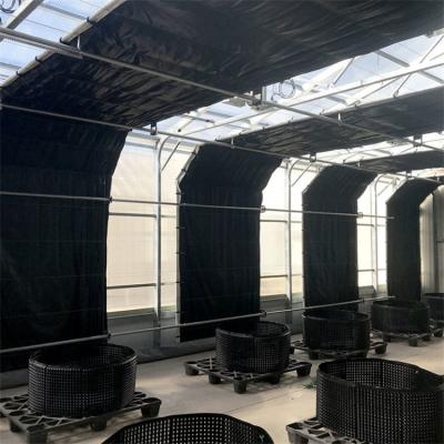 China Automated Indoor Shading Blackout Deprivation Light Deprivation System Single Span Plastic Light Greenhouse For Mushroom for sale