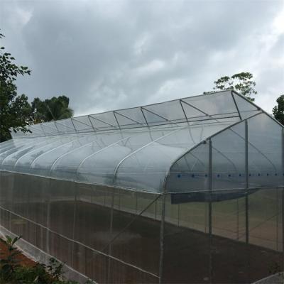 China Vegetable Ventilation System Plastic Sheet Top Single Span Sawtooth Greenhouse Tunnel Greenhouse for sale