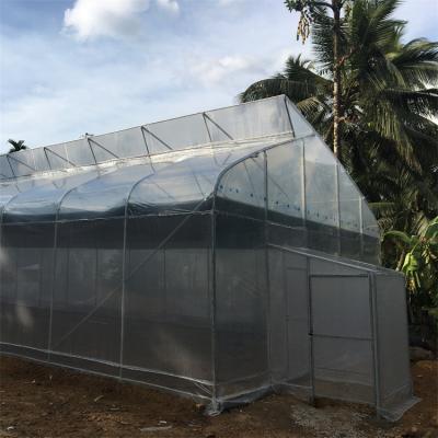 China Vegetables Cross Greenhouse Top Agriculture Sawtooth Low Cost Single Ventilation Greenhouse for sale