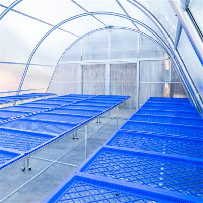 China Stable Structure Easily Collected Banana Drying Dome Tunnel Greenhouse Solar Dryer Greenhouse for sale