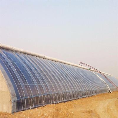 China Stable Structure Easily Assembled Passive Solar Agricultural Strawberry Greenhouse Winter Greenhouse Commercial Solar Panels Greenhouse for sale