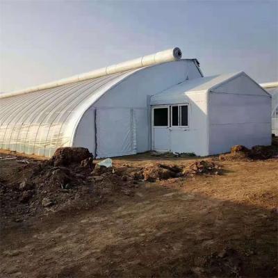 China Stable Structure Easily Assembled Full System Commercial Hydroponic Film Economical Sunlight Nursery Passive Solar Green House For Tomato for sale