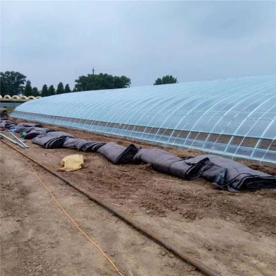 China Stable Structure Easily Assembled Chinese Cold Winter Heavy Duty Commercial Hydroponic Nursery Brick Wall Passive Solar Greenhouse for sale