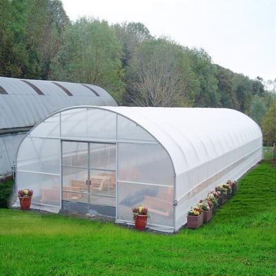 China Singlespan Vegetable Flowers Fruits Vertical Farm Tunnel Greenhouse With Irrigation And Hydroponic Growing System for sale