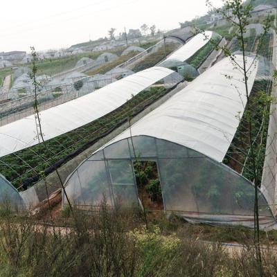 China Low View Plastic Sheet Plastic Sheet China Tunnel Greenhouse Agricultural Victorian Single-Span Greenhouses Greenhouses for sale