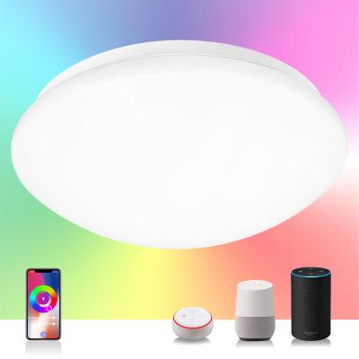 China IP54 Waterproof Sylstar 2021 Current In UK Modern New Design OEM ODM 20w LED Ceiling Lights App Control Smart Light for sale