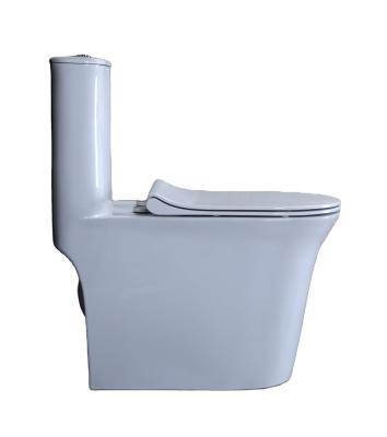 China Bathroom Wc Closet Custom Ceramic One Piece Toilet From Double-flush DF Chinese Manufacturer for sale