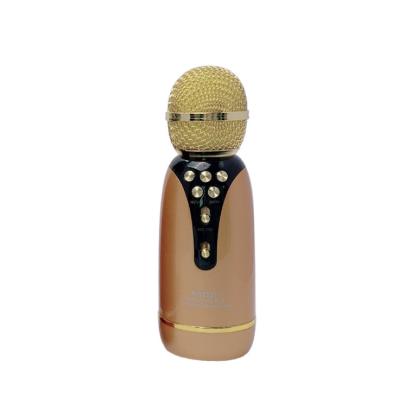 China New Arrival Professional Handheld Karaoke USB Microphone BT Speaker Wireless USB Microphone With Recording Function for sale