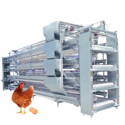 China Full Automatic H Type Closed Full Automatic Poultry House Battery Chicken Cage System For Egg Layers for sale