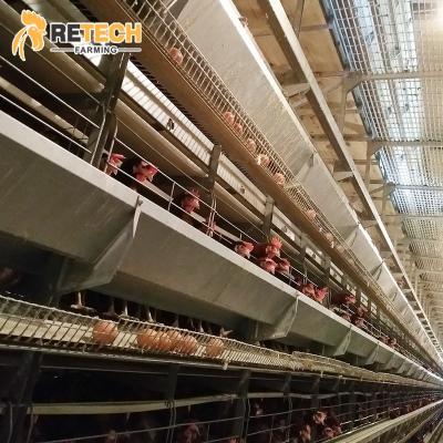 China commercial chicken poultry farming feeding equipment fully automatic battery chicken feeding system for sale for sale