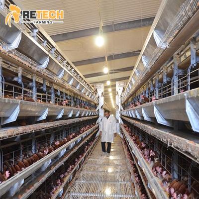 China Commercial chicken poultry farming equipment feeding supplier automatic chicken egg battery laying layer cages for sale for sale