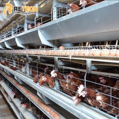 China Commercial Chicken Layer Feeding Chicken Farming Poultry Equipment Manufacturers Battery Chicken Cages for sale