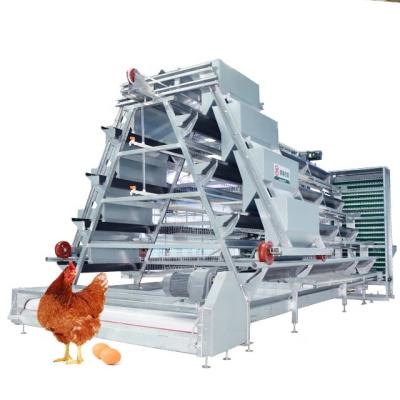 China Commercial chicken poultry layer farm feeding equipment 4 rows one type automatic battery layer chicken egg laying hens cage for sale