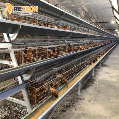 China Commercial Chicken Best Sell Poultry Farming Equipment Egg Chicken Layer Feeding Cages for sale