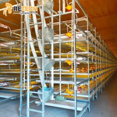 China Broiler Farming H Type 3 Tiers Poultry Farm Broiler Cage Equipment For 50000 Chickens for sale