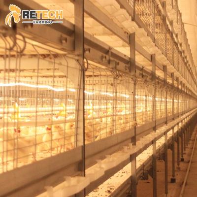 China Commercial Chicken Broiler Feeding Cage Automatic Poultry Farming Equipment Design for sale