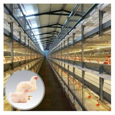 China Farms Poultry Farm Meat Broiler Lifting Equipment Galvanized H Type Broiler Battery Cage System for sale