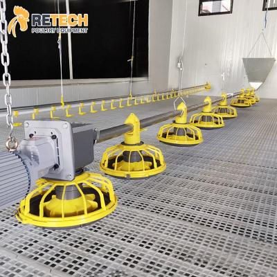 China Poultry Farm Chicken Feeding Poultry Farming Automatic Broiler Chicken Equipment From China Manufacturer for sale