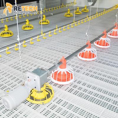 China Broiler Chicken Farming Automatic Poultry Farming Equipment Floor System For Broiler Chicken Farm for sale