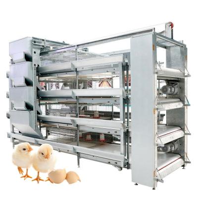 China Poultry Field Chicken Farm 4 Rows H Type Automatic Baby Chick Rearing Pullet Cage System for sale