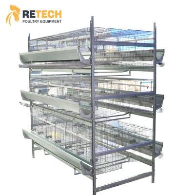 China Full Automatic H Type Automatic Chicken Breeder Cage For Broiler Layer Poultry Farm for sale