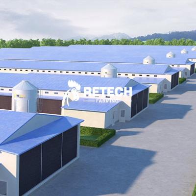 China Commercial Chicken Feeding Poultry Chicken Equipment Hot Selling Steel Structure Building Prefab Houses for sale