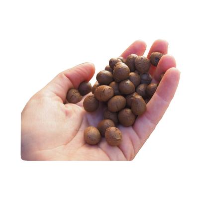 China Garden Work 10-16mm Light Weight Raised Clay Balls Bulk Leca Clay for sale