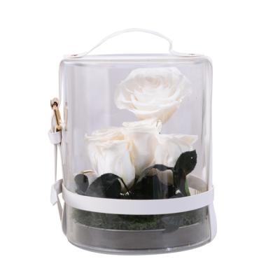 China Top Acrylic Secret Garden Rose Flower Gift Preserved Rose of Celebration Valentine's Day Sale Mother's Day for sale