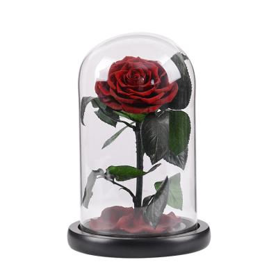 China Valentines Day Christmas Gift Led Light Preserved Roses Flower Box Decoration Rose Dome Rose In Glass for sale